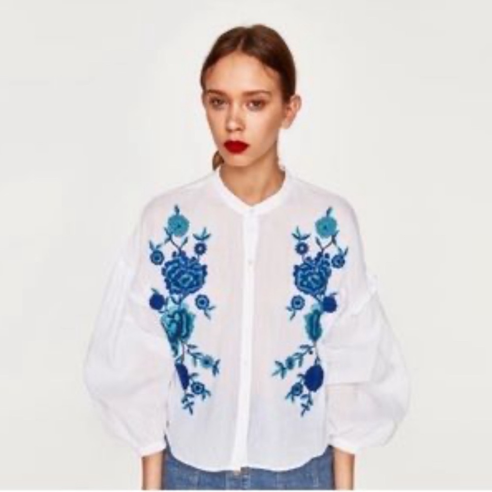 Zara Trafaluc Embroidered Floral Puffy Sleeve Sheer Top